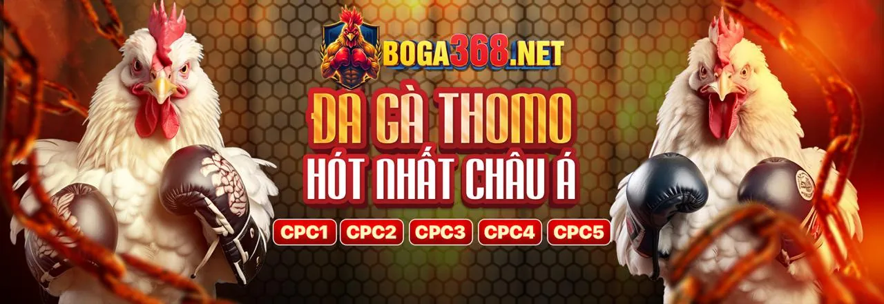 Hình ảnh minh họa các ưu điểm của nền tảng vb777 link vào với giao diện thân thiện, thanh toán nhanh và hỗ trợ khách hàng chuyên nghiệp